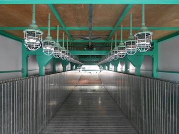 PLC 통제, 50Kg/m ³를 가진 가동 가능한 매트리스 거품 생산 라인